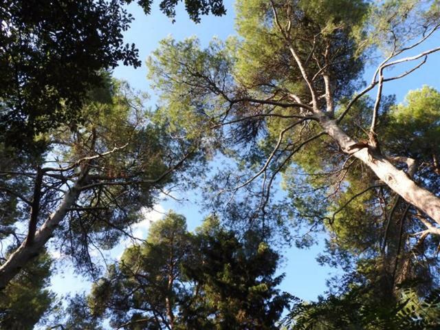 Villa Dall Acqua Πέζαρο Εξωτερικό φωτογραφία